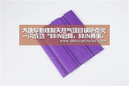 BBIN官网，BBIN赛事，BBIN真人，BBIN电竞